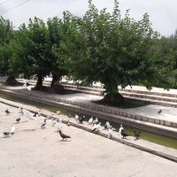 ipd beski hospital